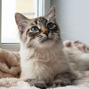 Meet your Posher, Nick